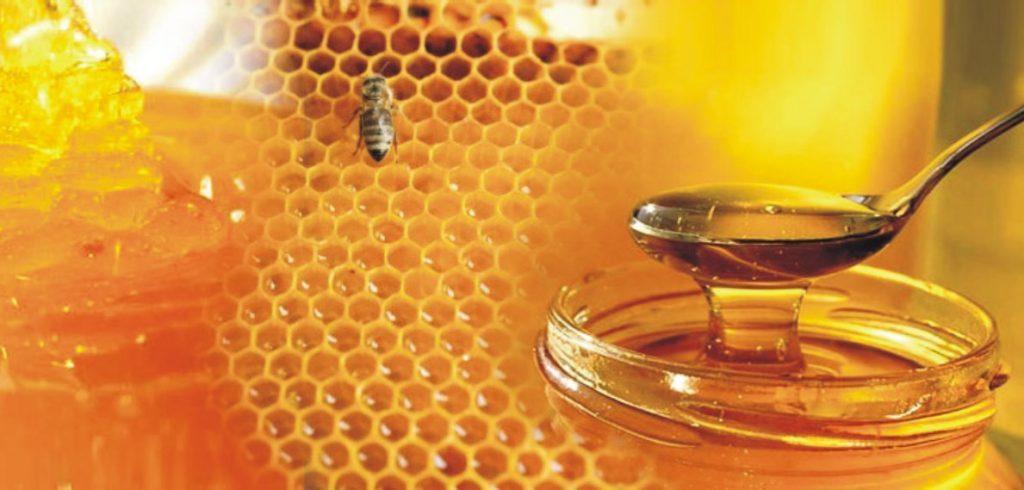 Την αντιβακτηριακή δράση των μελιών του Ολύμπου διερευνούν Περιφέρεια και Πανεπιστήμιο Θεσσαλίας