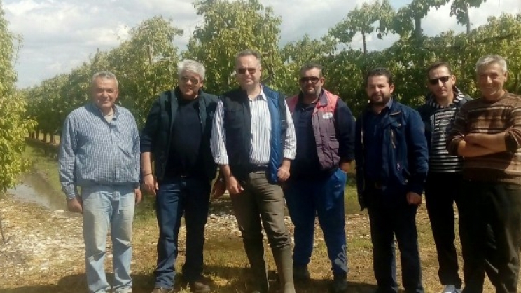 Αγωνία για ζημιές σε καλλιέργειες στην Ποταμιά