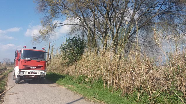 15 επεμβάσεις σε δασικές – αγροτικές πυρκαγιές σε δύο μέρες απο την Π.Υ. Ελασσόνας