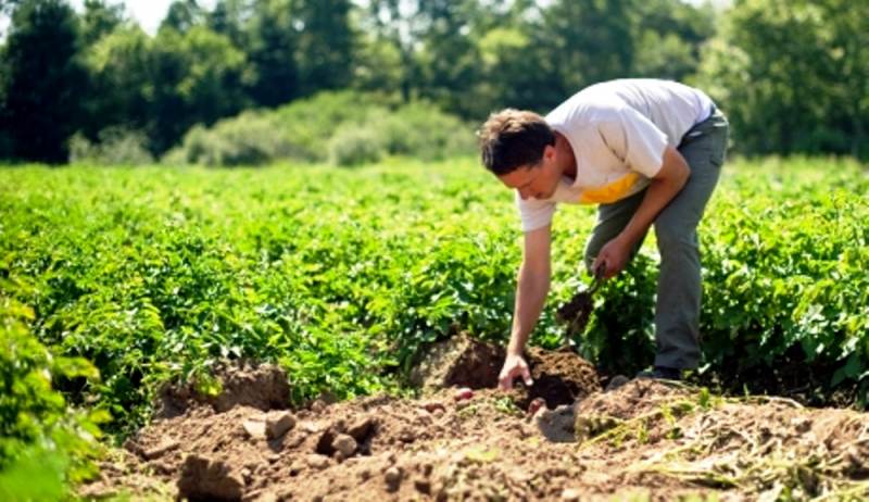 Επιστολή διαμαρτυρίας για νιτρορύπανση από τον Αγροτικό Συνεταιρισμό Λιβαδίου
