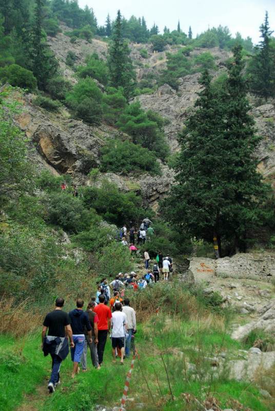 Πεζοπορία-περιβαλλοντικό μονοπάτι και κοπή πίτας στο δάσος Τσαριτσάνης.