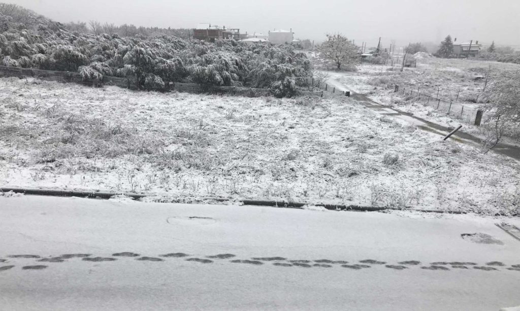 Στα «λευκά» η Ελασσόνα χιονίζει από τα ξημερώματα