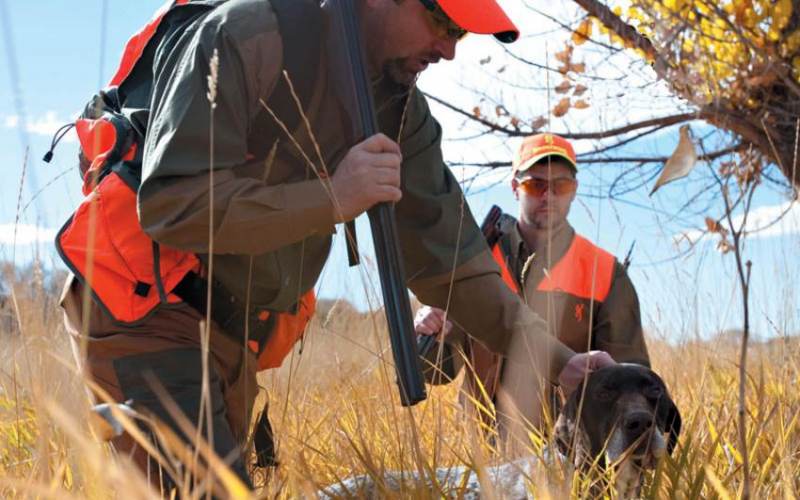 Πρόγραμμα διαχείρισης Άρπαγων 2019-2020 Κορακοειδή – Αλεπού – Πετροκούναβο