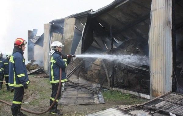ΜΕΓΑΛΗ ΦΩΤΙΑ ΣΕ ΚΤΗΝΟΤΡΟΦΙΚΗ ΜΟΝΑΔΑ ΣΤΑ ΚΑΛΥΒΙΑ ΕΛΑΣΣΟΝΑΣ