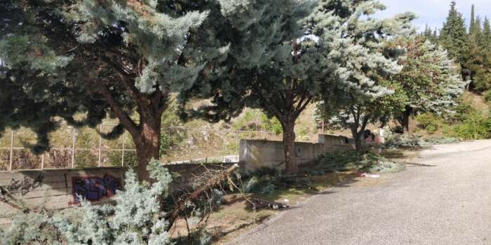 Δήμος Ελασσόνας: «Συνεχίζονται οι εντατικοί καθαρισμοί – συντηρήσεις & διαρκής φροντίδα στους χώρους πρασίνου» – ΦΩΤΟ