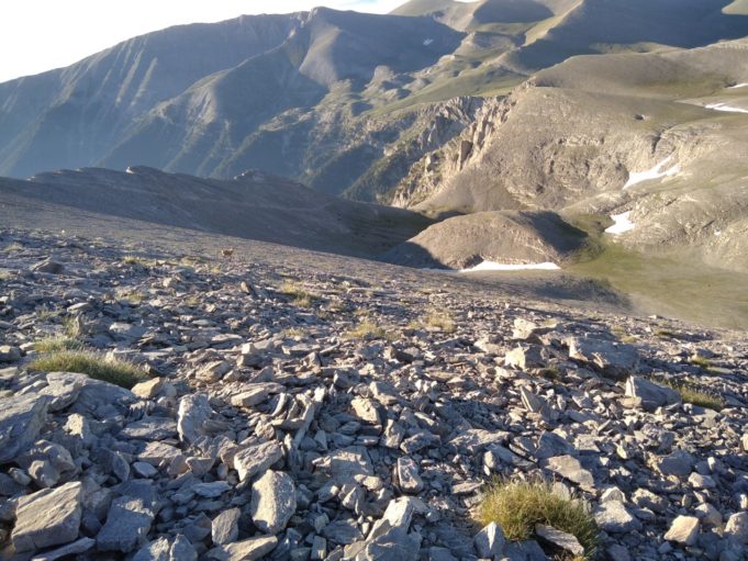 Νεκρός 41χρονος ορειβάτης στον Όλυμπο