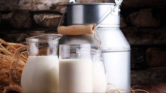 Ελασσόνα: Συμφωνίες για αιγοπρόβειο γάλα