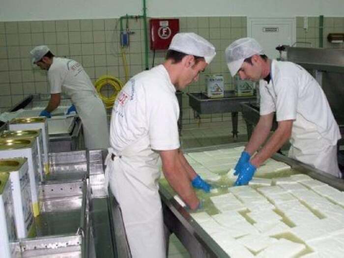 Ελληνική Λύση: «Επανίδρυση της γαλακτοκομικής σχολής στην Ελασσόνα”