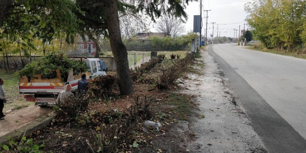 Καθημερινό πρόγραμμα σε καλλωπισμό δημόσιων χώρων στο κέντρο και τις γειτονιές της πόλης