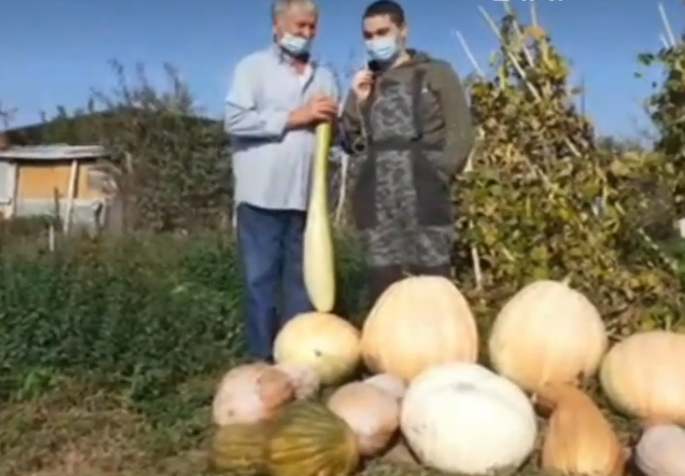 Παππούς και εγγονός στην Βερδικούσια σπάσανε το ρεκόρ: Καλλιεργούν κολοκύθες γίγαντες και αποκαλύπτουν το μυστικό τους (βίντεο)