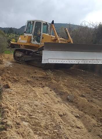 Ολοκληρώθηκαν οι εργασίες αποκατάστασης της αγροτικής οδοποιίας στην Κοινότητα Καρυάς