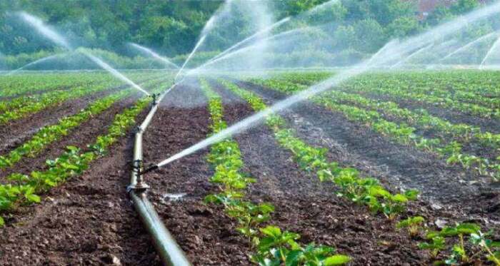 Ολοκληρώθηκε το Ηλεκτρονικό Μητρώο Αρδευτών του Δήμου Ελασσόνας