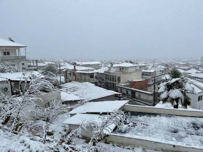 “Ντυμένη” στα λευκά η χιονισμένη Ελασσόνα (φώτο)