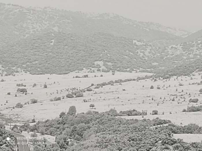 Παγετός μέχρι την Τρίτη στην Ελασσόνα