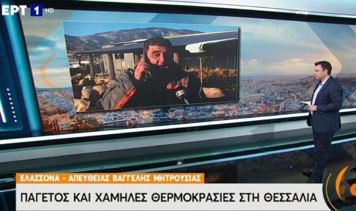 Ελασσόνα: Ο παγετός έφερε μείωση της γαλακτοπαραγωγής