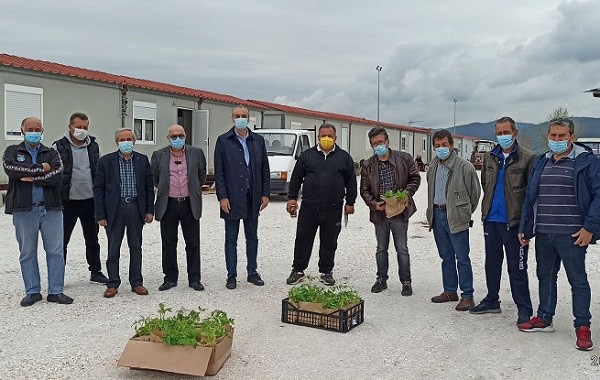 ΠΡΟΣΦΕΡΑΝ ΦΥΤΑ ΑΠΟ ΠΑΡΑΔΟΣΙΑΚΟΥΣ ΣΠΟΡΟΥΣ ΣΤΟΥΣ ΣΕΙΣΜΟΠΛΗΚΤΟΥΣ ΣΕ ΔΑΜΑΣΙ – ΜΕΣΟΧΩΡΙ