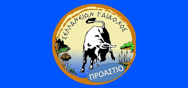 «Δριμύ» κατηγορώ με πολλούς αποδέκτες από τον ΑΟ Σελλάνων για το παιχνίδι με τον Οικ.Τσαριτσάνης