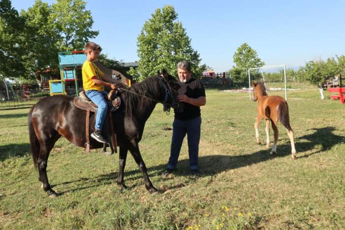 Ελασσόνα: Ανάβαση στον Όλυμπο με άλογο – Μια ξεχωριστή εμπειρία (φωτο)