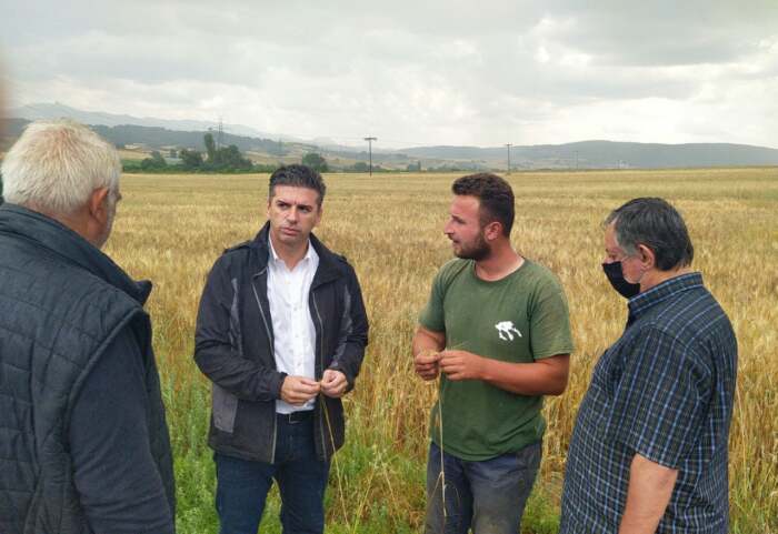 Θανάσης Παιδής: Άμεση στήριξη στους πληγέντες παραγωγούς σιτηρών της Ελασσόνας