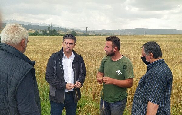 ΖΗΜΙΕΣ ΣΤΑ ΣΙΤΗΡΑ ΣΤΗΝ ΕΠΑΡΧΙΑ ΕΛΑΣΣΟΝΑΣ