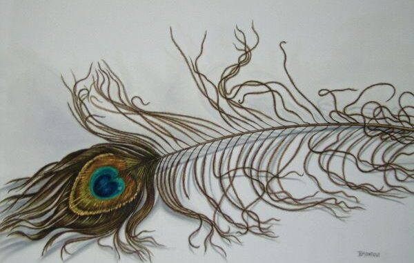 ΣΕ ΔΙΕΘΝΗ ΕΚΘΕΣΗ ΑΚΟΥΑΡΕΛΑΣ Η ΘΩΜΑΗ ΚΟΝΤΟΥ