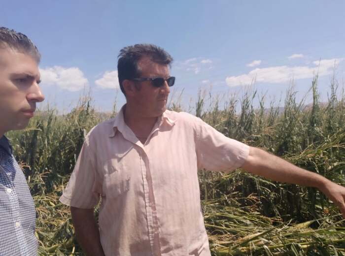 Θανάσης Παιδής: Μεγάλες καταστροφές από την θεομηνία – Άμεση στήριξη των πληγέντων παραγωγών