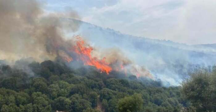 Οι πυροσβέστες έχουν τιθασεύσει την φωτιά στο Σαραντάπορο