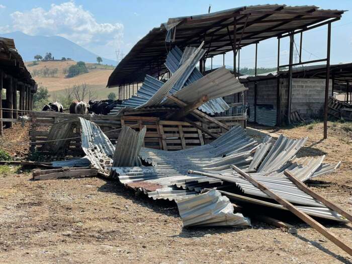 Ελασσόνα: Μεγάλη η πληγή από το μπουρίνι και στα Γεράνεια – ΦΩΤΟ