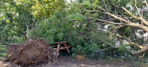 Μεγάλες οι ζημιές που προκάλεσε το ξαφνικό μπουρίνι χθες βράδυ στο Δήμο Ελασσόνας