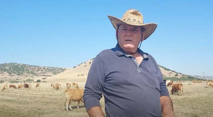 70 χρόνια αγελαδοτρόφος ο «Ντάλτον» από το Δαμάσι που συνάντησε τον Μητσοτάκη! (VIDEO)