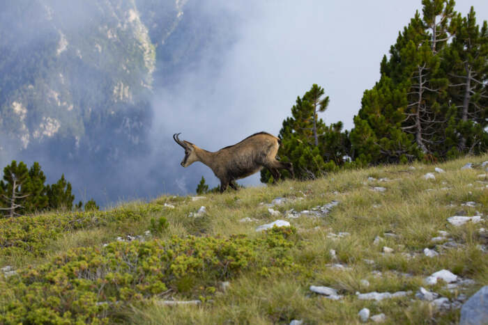 Ο Όλυμπος χαρακτηρίστηκε Εθνικό Πάρκο: Τι επιτρέπεται, τι απαγορεύεται και τι αλλάζει