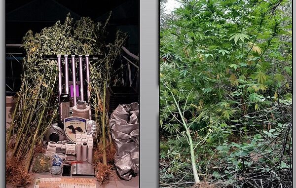 ΜΙΑ ΣΥΛΛΗΨΗ ΣΤΗΝ ΕΛΑΣΣΟΝΑ ΓΙΑ 2 ΟΡΓΑΝΩΜΕΝΕΣ ΦΥΤΕΙΕΣ ΧΑΣΙΣ