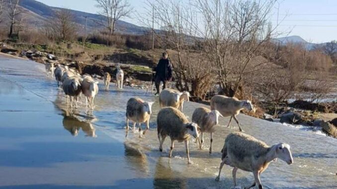 ΠΡΟΒΛΗΜΑΤΑ ΑΠΟ ΤΙΣ ΠΛΗΜΜΥΡΕΣ ΣΤΗ ΔΗΜΟΤΙΚΗ ΕΝΟΤΗΤΑ ΠΟΤΑΜΙΑΣ ΔΗΜΟΥ ΕΛΑΣΣΟΝΑΣ