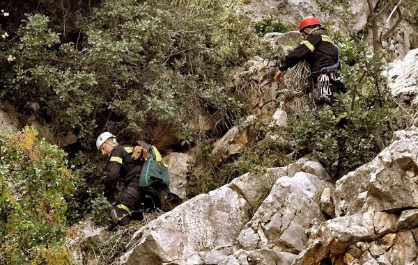 ΑΓΝΟΕΙΤΑΙ 18ΧΡΟΝΟΣ ΚΤΗΝΟΤΡΟΦΟΣ ΣΤΟ ΛΙΒΑΔΙ – ΣΥΝΑΓΕΡΜΟΣ ΓΙΑ ΤΟΝ ΕΝΤΟΠΙΣΜΟ ΤΟΥ