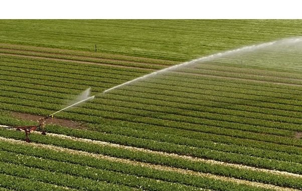 Ν. ΕΥΑΓΓΕΛΟΥ: ΜΕ ΕΜΜΟΝΕΣ ΚΑΙ ΚΑΚΟΔΙΑΧΕΙΡΙΣΗ ΔΕΝ ΔΙΟΙΚΕΙΤΑΙ ΕΝΑΣ ΔΗΜΟΣ