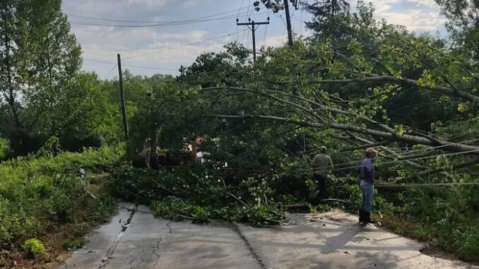 ΑΝΕΜΟΣΤΡΟΒΙΛΟΣ ΕΠΛΗΞΕ ΤΑ ΧΩΡΙΑ ΜΕΣΟΧΩΡΙ ΚΑΙ ΒΛΑΧΟΓΙΑΝΝΙ ΕΛΑΣΣΟΝΑΣ