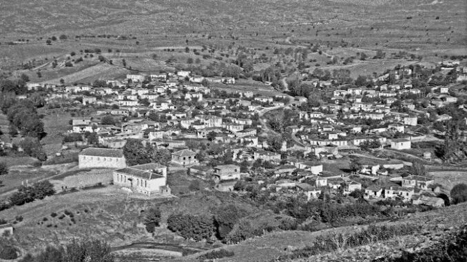 ΛΥΚΟΥΔΙ ΕΛΑΣΣΟΝΑΣ: ΌΨΕΙΣ ΠΑΡΑΔΟΣΗΣ»
