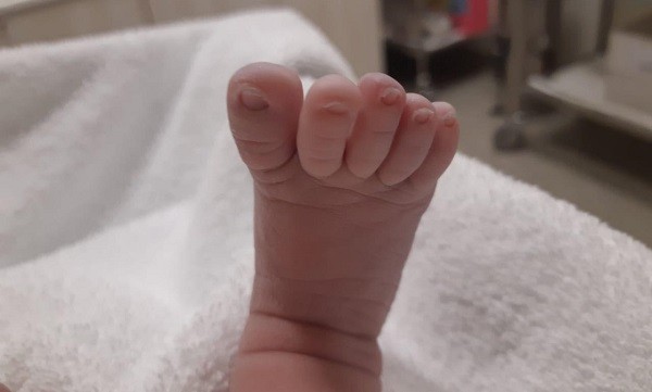 Ο ΔΗΜΟΣ ΕΛΑΣΣΟΝΑΣ ΣΤΟ ΠΡΟΓΡΑΜΜΑ «ΝΤΑΝΤΑΔΕΣ ΤΗΣ ΓΕΙΤΟΝΙΑΣ»