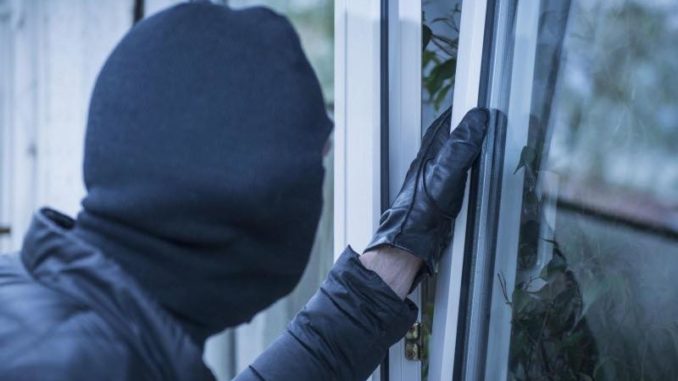 ΕΞΙΧΝΙΑΣΤΗΚΕ ΚΛΟΠΗ ΣΕ ΠΕΡΙΠΤΕΡΟ ΣΤΗΝ ΕΛΑΣΣΟΝΑ