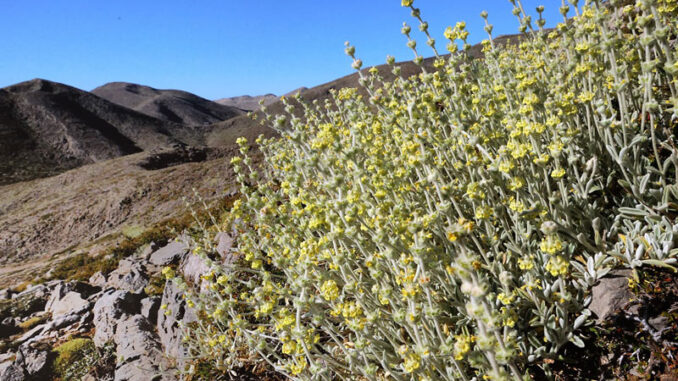 ΣΕΜΙΝΑΡΙΟ ΚΑΤΑΡΤΙΣΗΣ ΚΑΙ ΕΚΠΑΙΔΕΥΣΗΣ ΕΝΗΛΙΚΩΝ ΣΤΟ ΠΛΑΙΣΙΟ ΥΛΟΠΟΙΗΣΗΣ ΤΟΥ ΕΡΓΟΥ OLYMPUS+