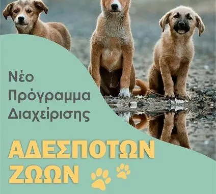 ΔΗΜΟΣ ΕΛΑΣΣΟΝΑΣ : 68 ΑΔΕΣΠΟΤΑ ΠΕΡΙΣΥΝΕΛΕΓΗΣΑΝ ΤΟΥΣ 3 ΤΕΛΕΥΤΑΙΟΥΣ ΜΗΝΕΣ