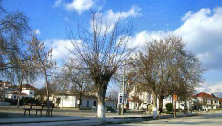 Πρόταση για τη δημιουργία Πρότυπου Πολυχώρου Αθλητισμού και Σύσταση ΚΟΙΝ.Σ.ΕΠ. στην Καλλιθέα Ολύμπου